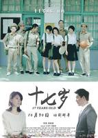 17.在线观看免费完整电影
